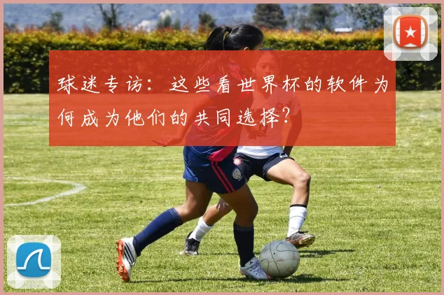 球迷专访：这些看世界杯的软件为何成为他们的共同选择？