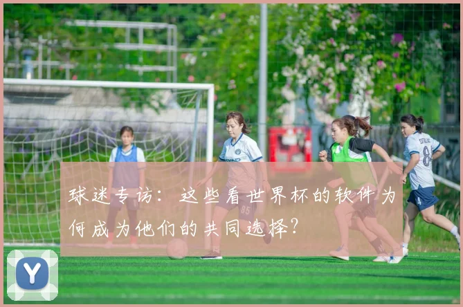 球迷专访:这些看世界杯的软件为何成为他们的共同选择?