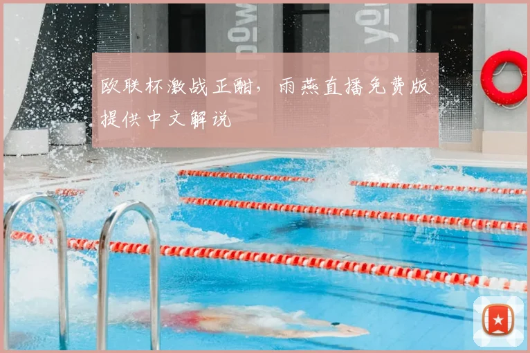 欧联杯激战正酣，雨燕直播免费版提供中文解说